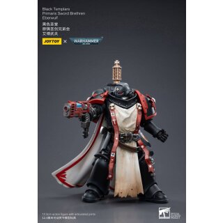 Warhammer 40k Actionfigur: Black Templars Primaris Sword Brethren Eberwulf
