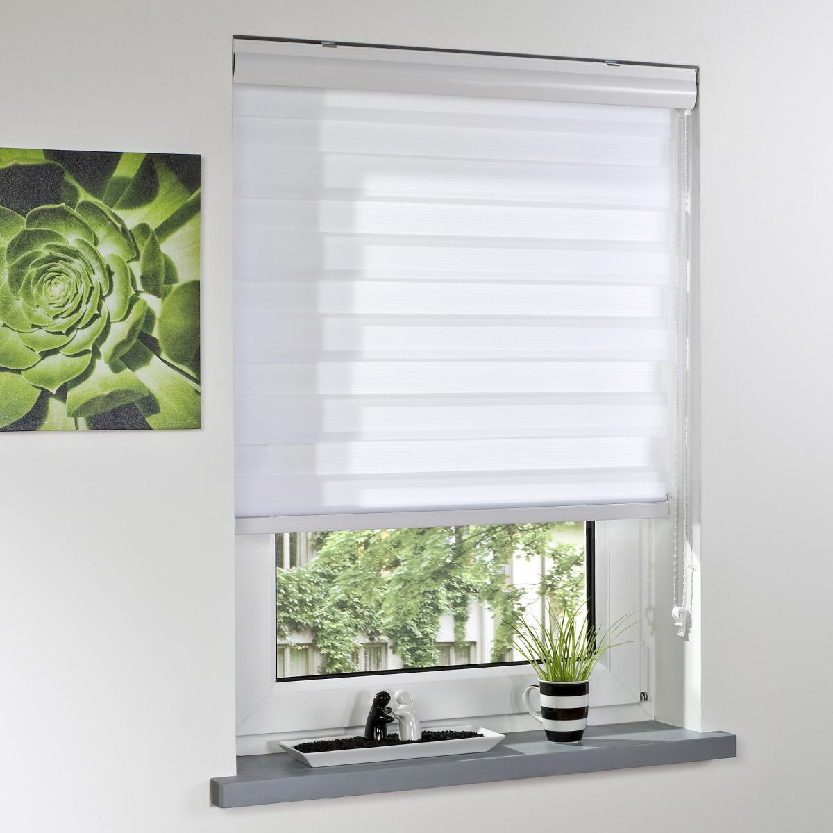 Bella Casa Duo-Rollo mit Blende, Rollo, lichtdurchlässig, Sonnenschutz, 60 x 160 cm weiß