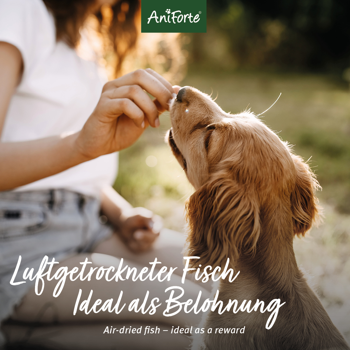 Aniforte Snacks Aniforte Trockenfisch 200g