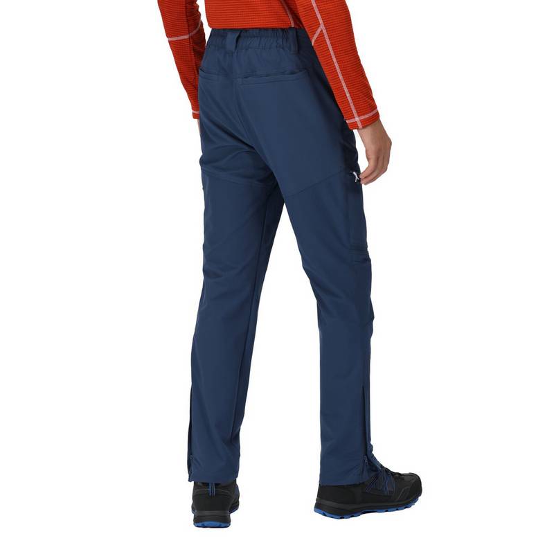 Regatta Questra IV Wanderhose Herren