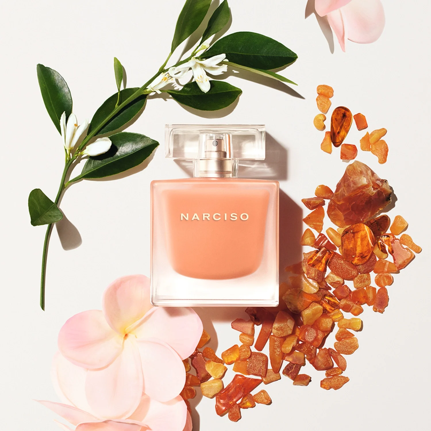 Apă de Narcisă Neroli Amber - Apă de Toaletă