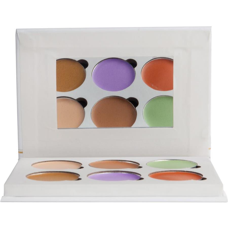 Color Correcting Concealer Palette