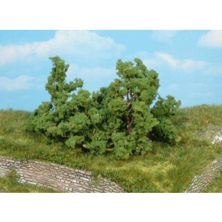 Büsche u. Sträucher 6-8 cm (5 Stk.)