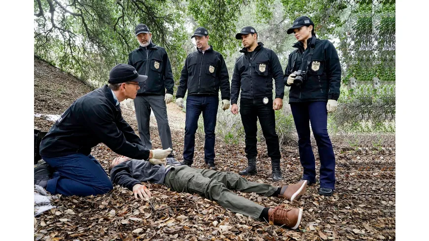 Navy CIS: Staffel 20  [7 DVDs]