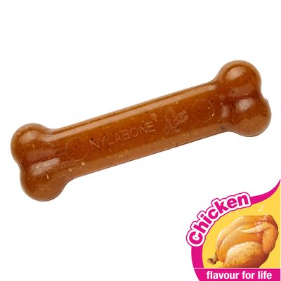 Nylabone Puppybone