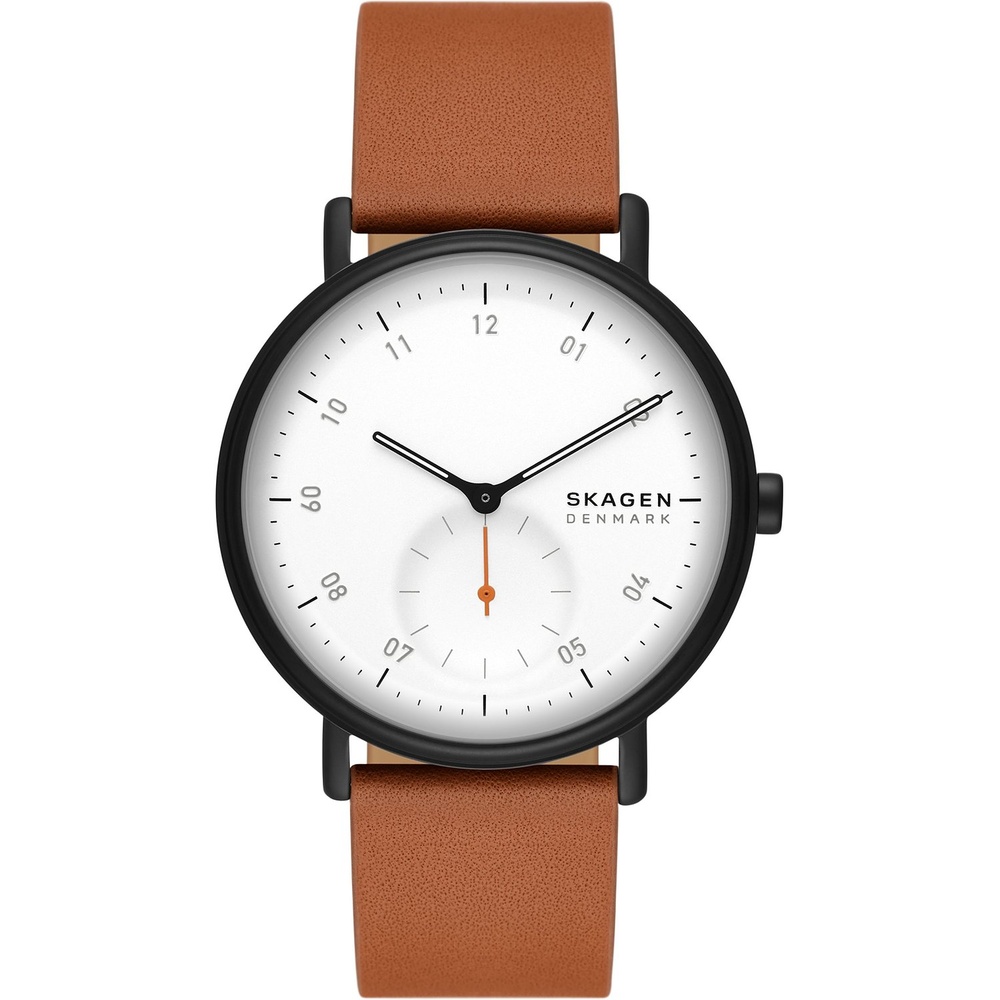 Skagen Montre pour hommes Acier inoxydable Montre