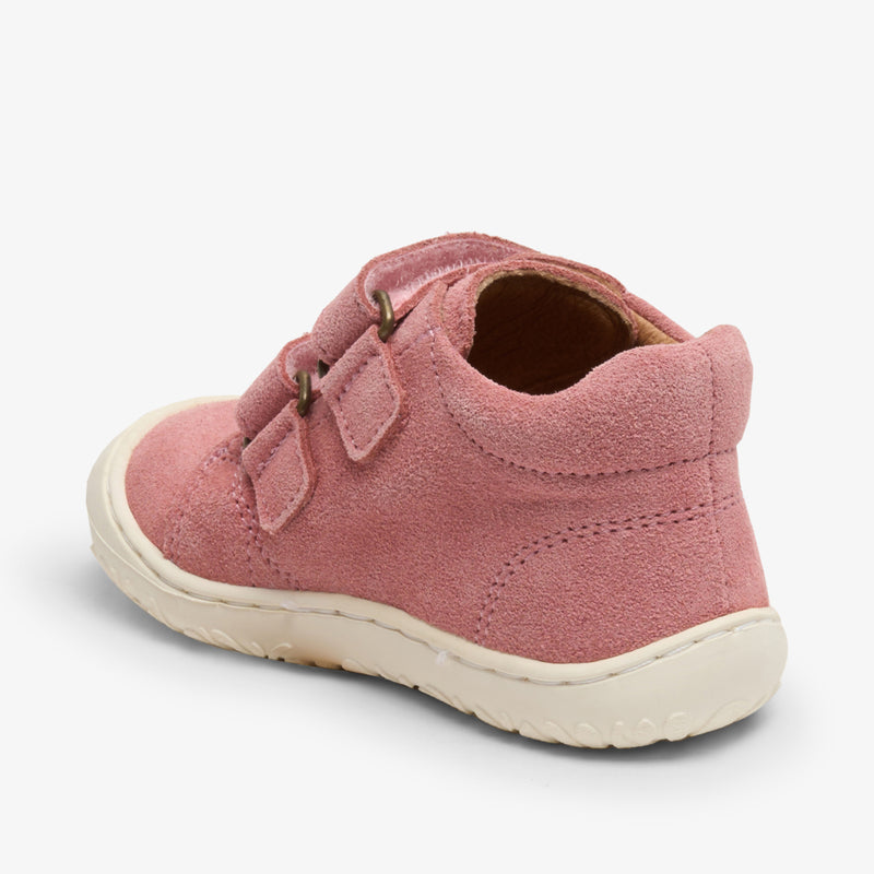 hale v blush - Rose