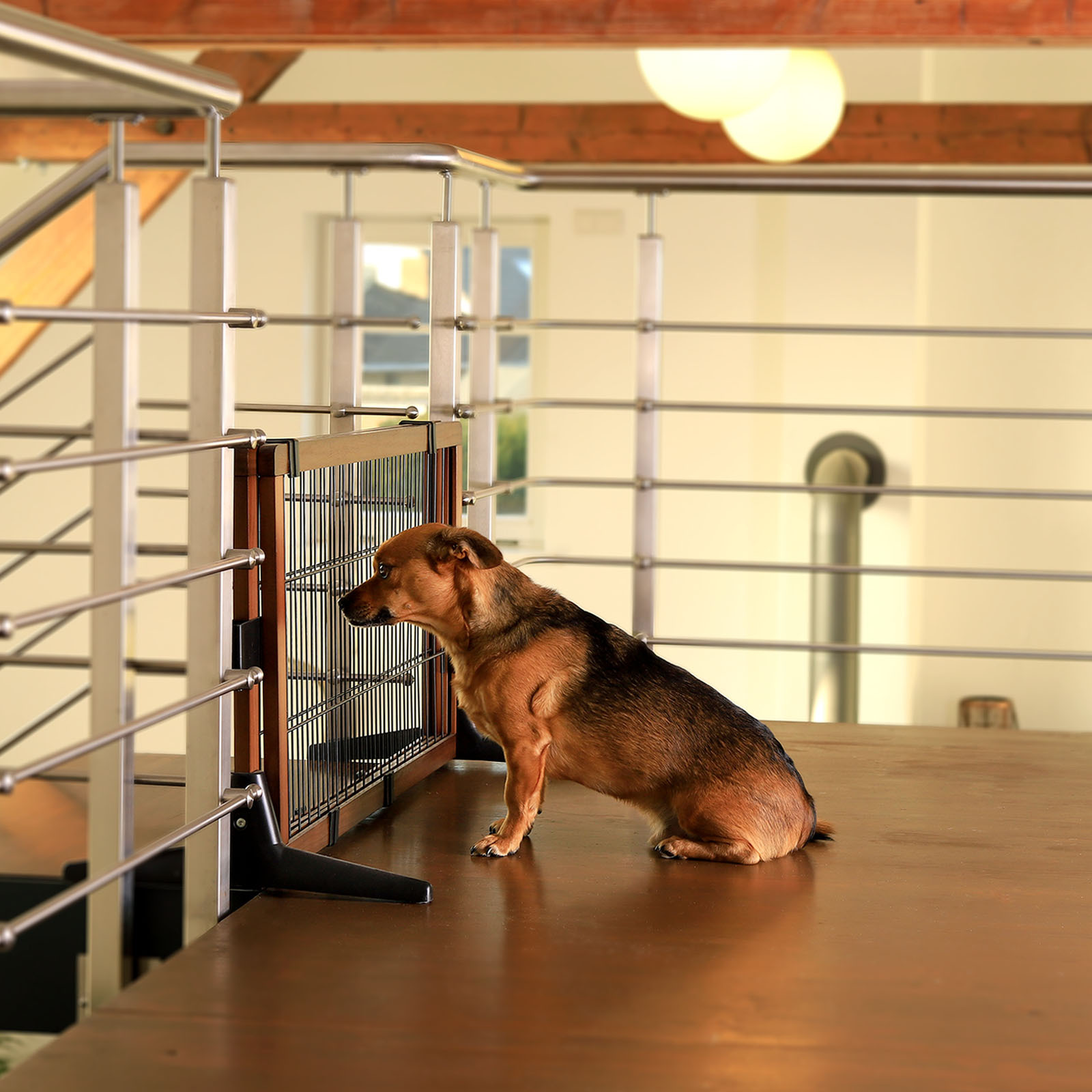 Lionto Türschutzgitter & Hundeklappen Lionto Absperrgitter, Hundeschutzgitter