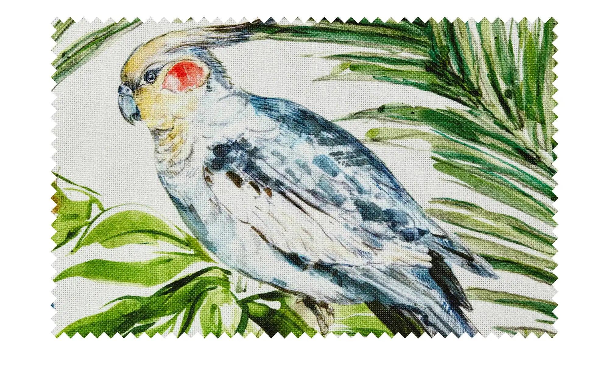 Schwienhorst Auflage Gomera