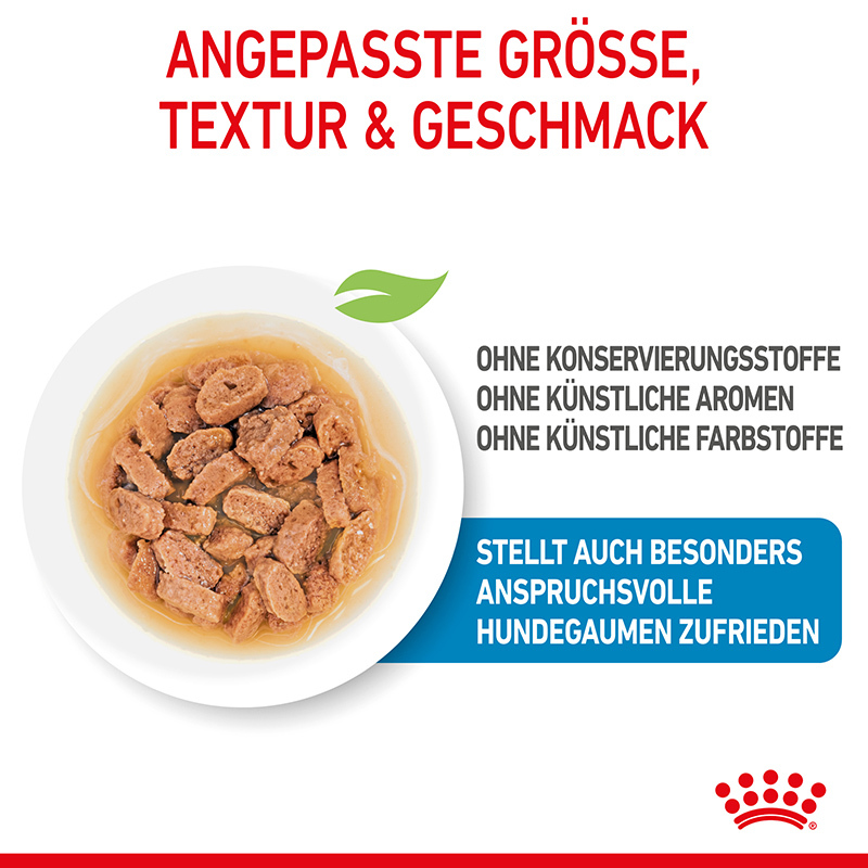 ROYAL CANIN Hundenassfutter ROYAL CANIN Mini Puppy 12x85g