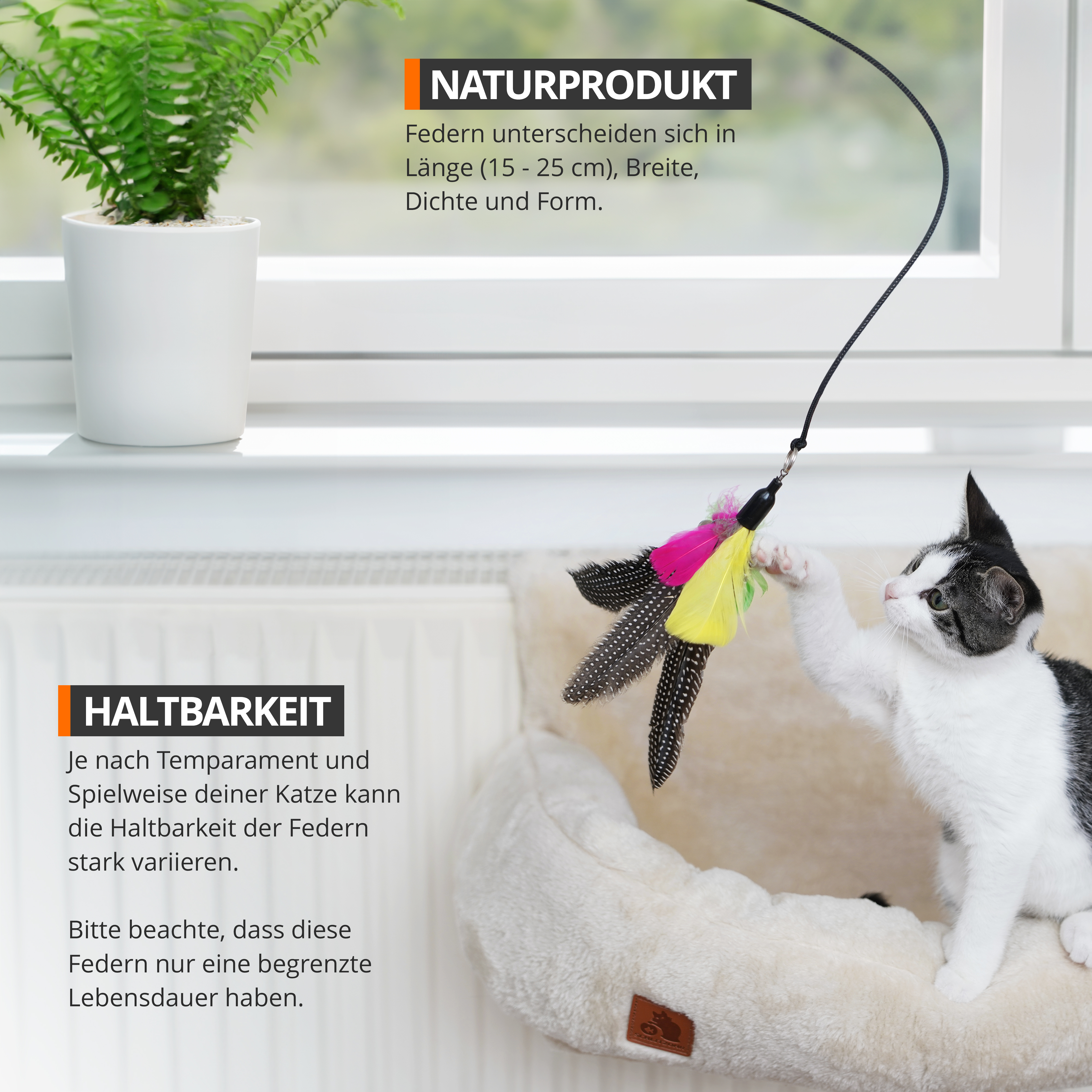 Schlitzohr Katzenangeln Schlitzohr Katzenangel Federanhänger 5x