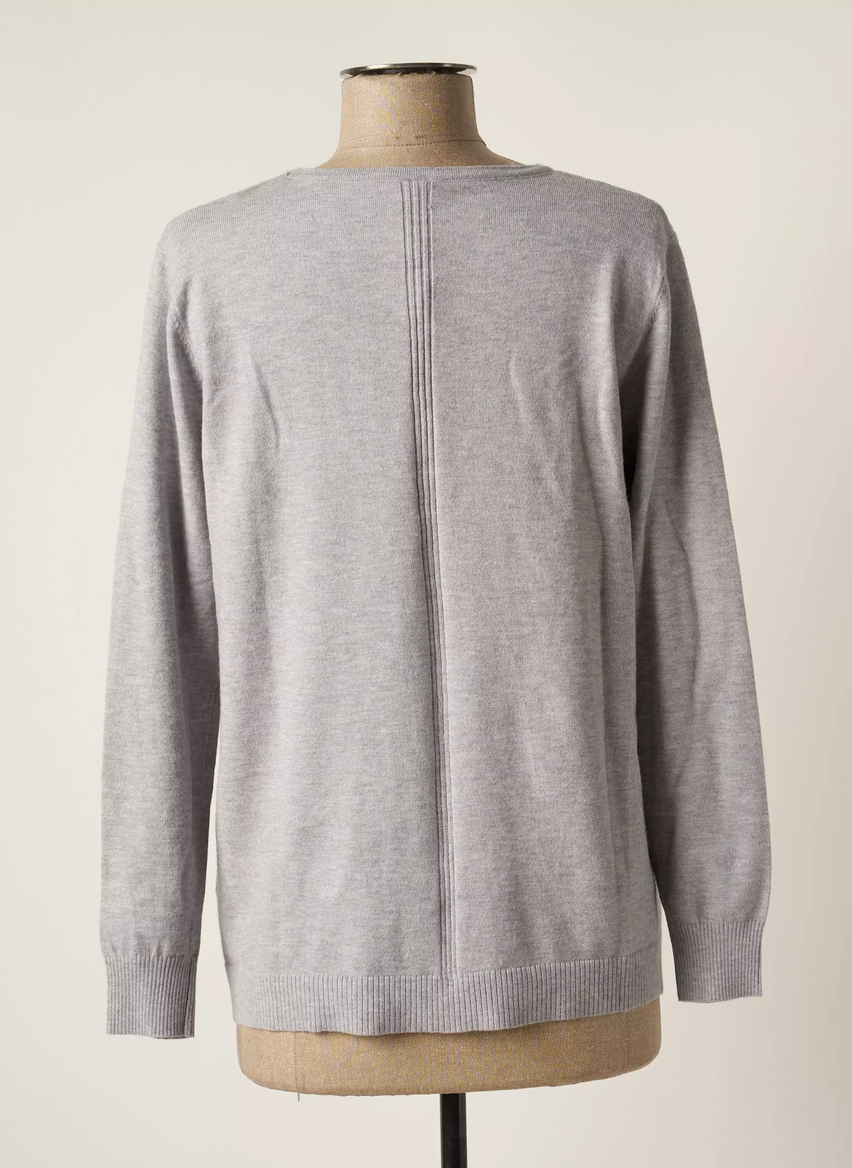 Scorzzo Pulls Femme couleur gris
