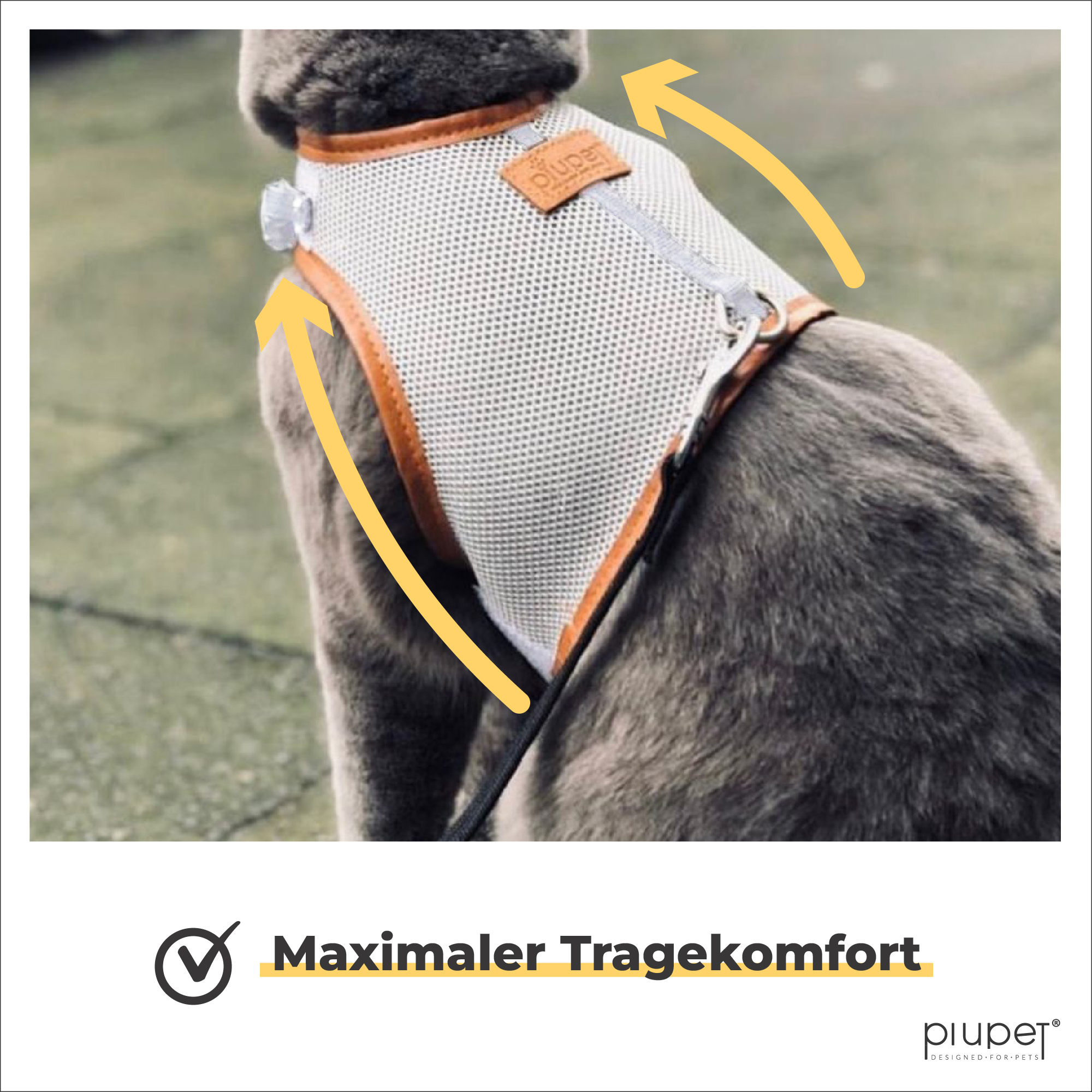 PIUPET Geschirre & Leinen PIUPET Katzengeschirr M