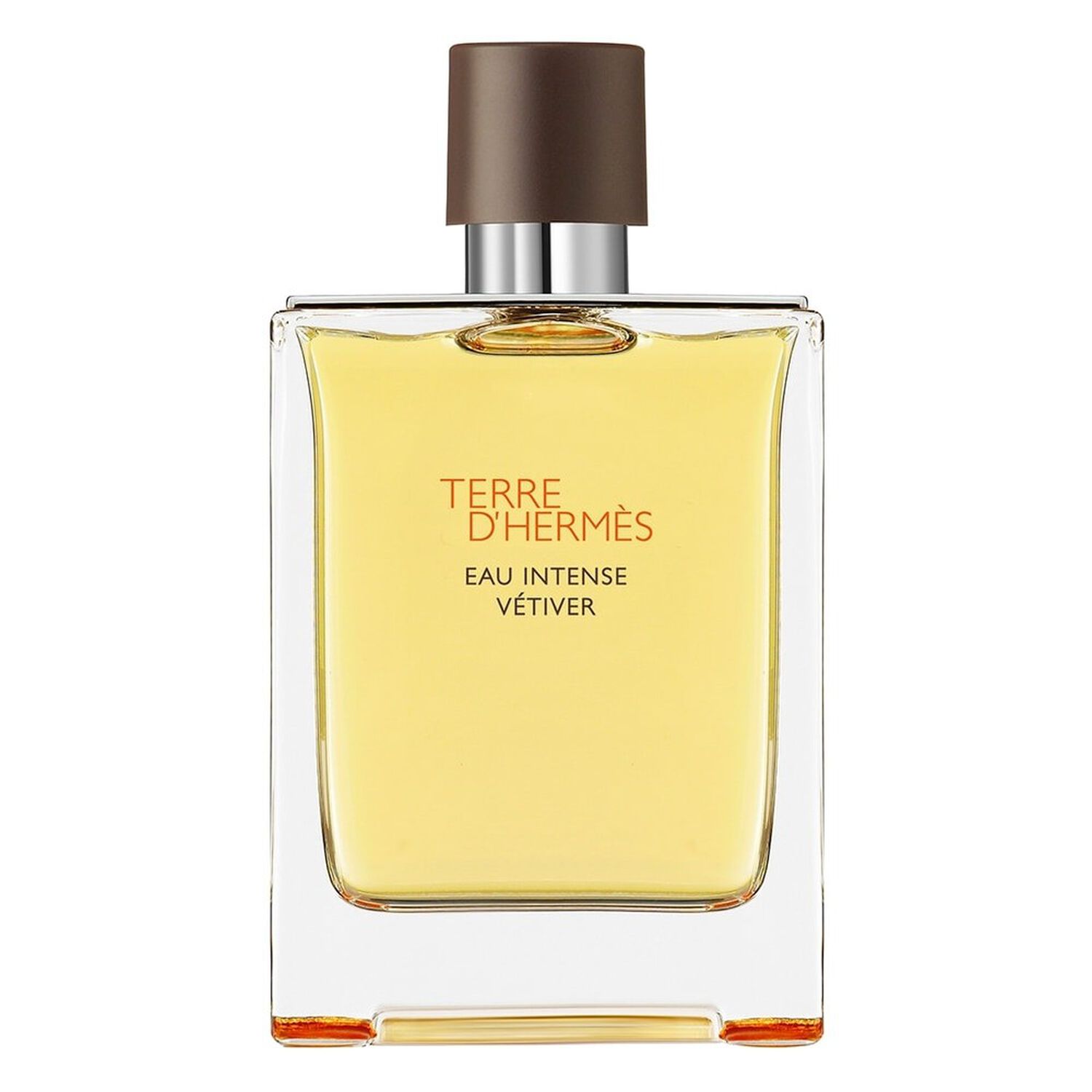 Hermès Terre d'Hermès Eau Intense Vétiver Eau de Parfum