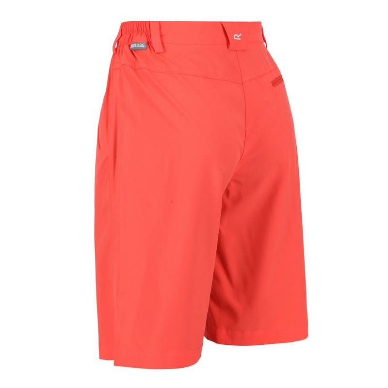 Regatta Xert It Shorts Damen