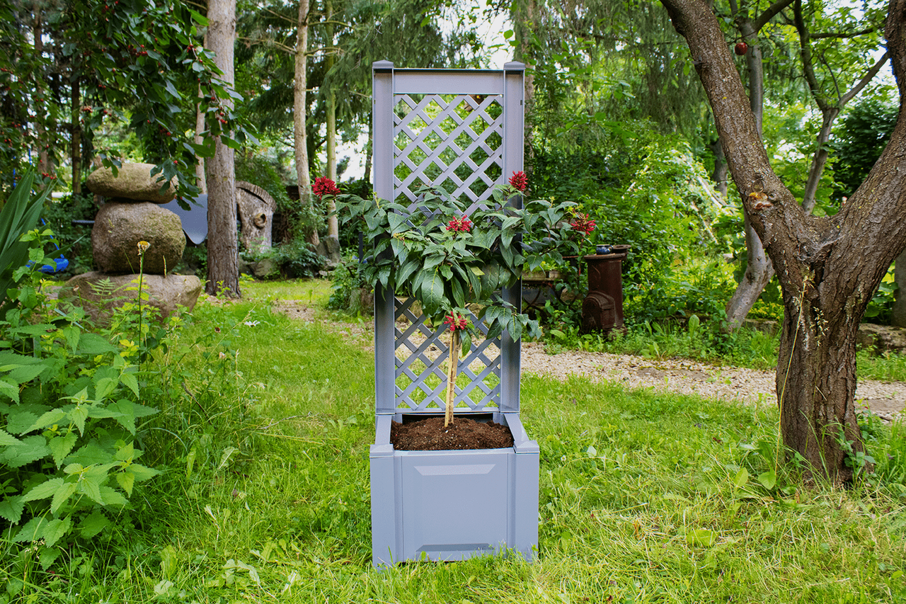KHW Pflanzkasten klein mit Spalier 43 cm, grau