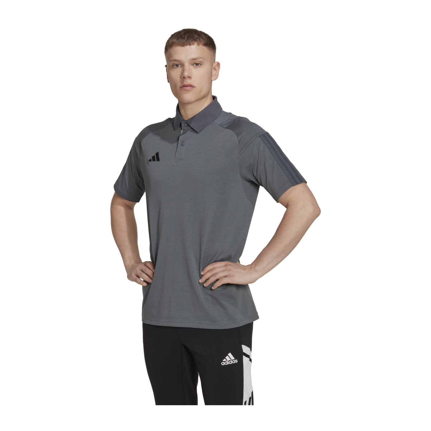 adidas Tiro 23 Competition Poloshirt Grau