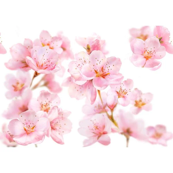 Kneipp Soft Skin Almond Blossom tusfürdő 250ml - Érzékeny bőrre