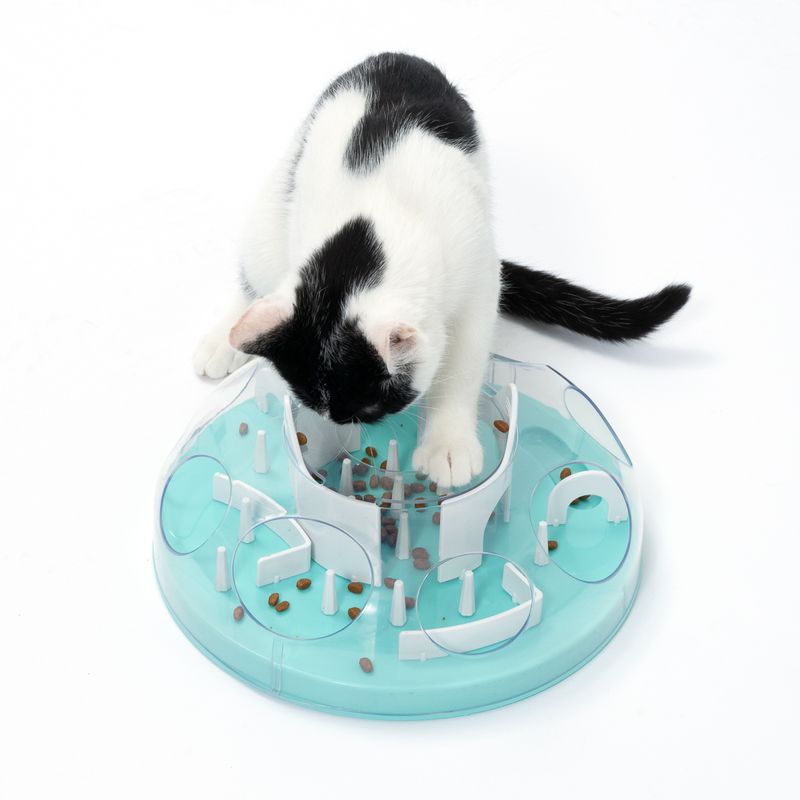 TIAKI Intelligenzspielzeug Coliseum für Katzen