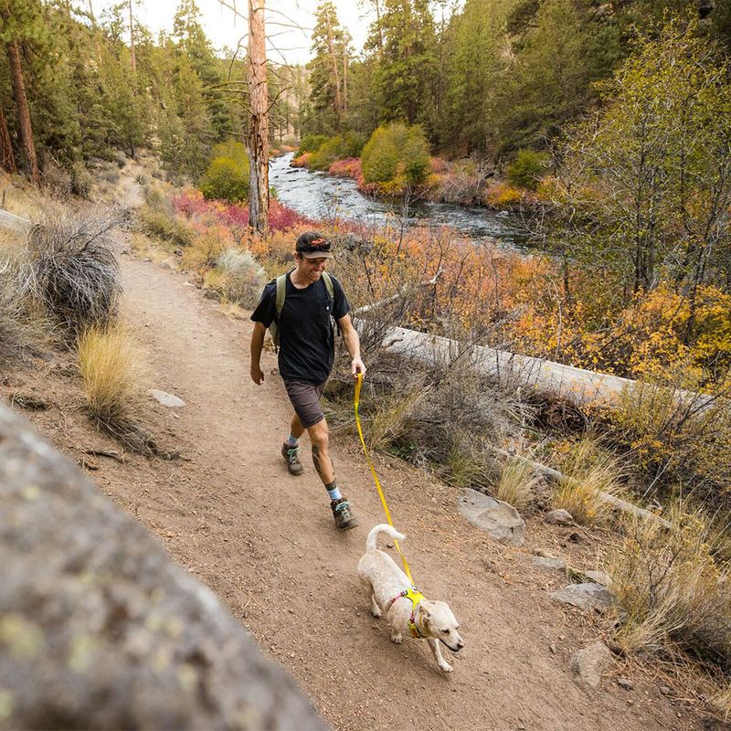 RUFFWEAR Hi & Light Leash zu TOP-Preisen