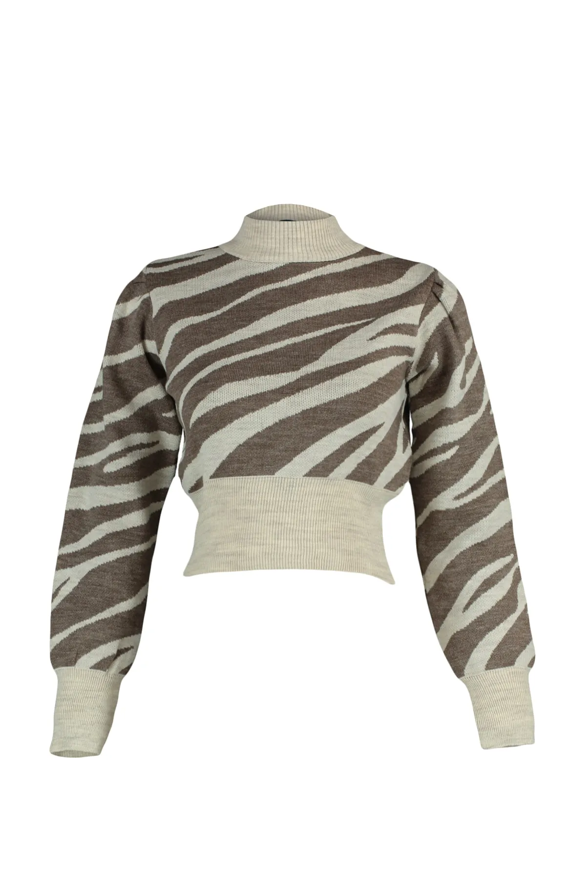 Trendyol Collection  Nerz Strickpullover mit Stehkragen TWOAW21KZ0010