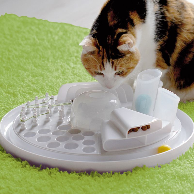 Catlove Katzenspielzeug Cat Center zu TOP-Preisen
