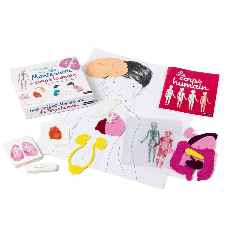 Mon coffret Montessori du corps humain - Nathan Jeunesse