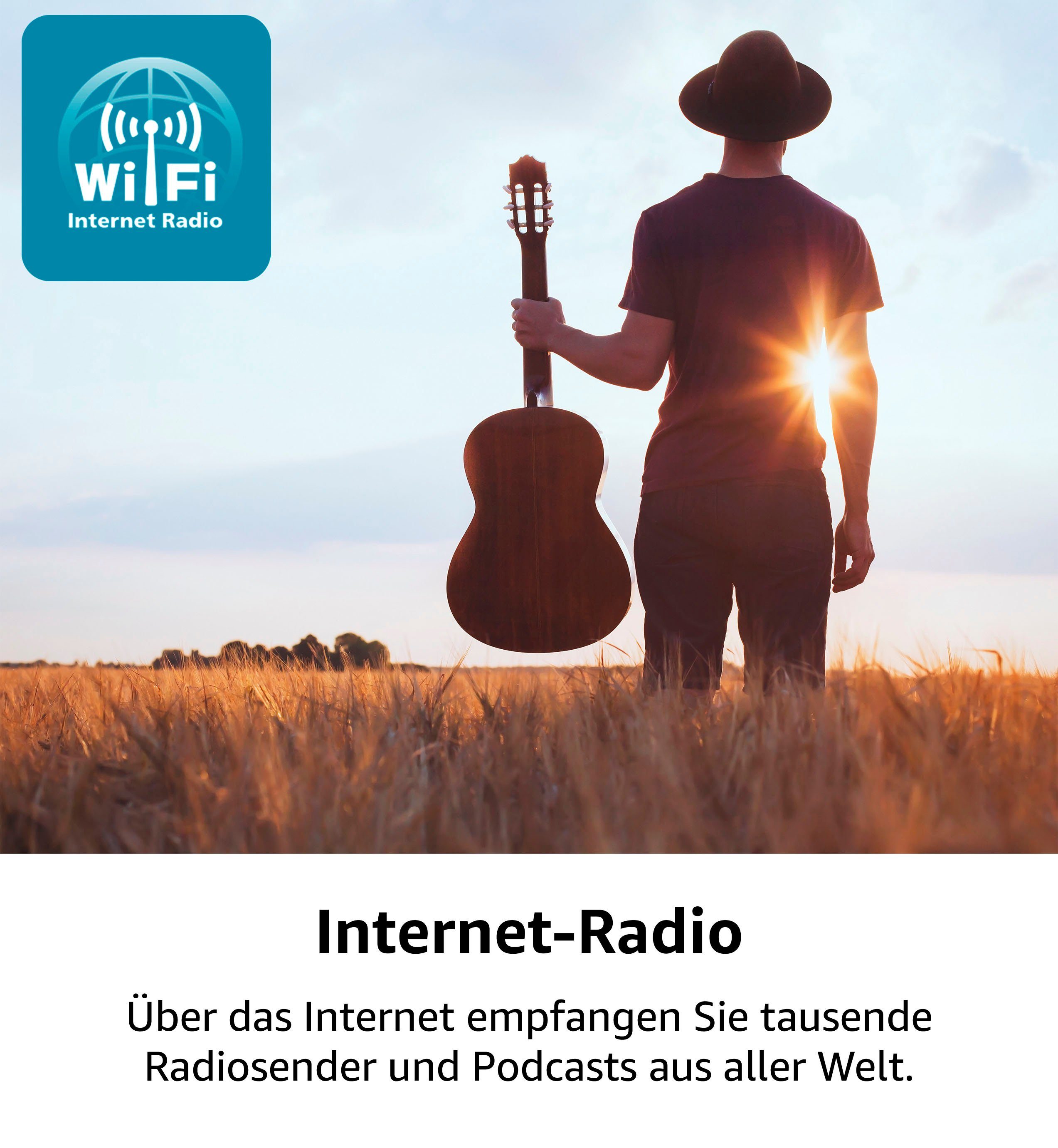 Karcher MC 8000DI Stereoanlage (Digitalradio (DAB), Internetradio, UKW mit RDS, 20 W)