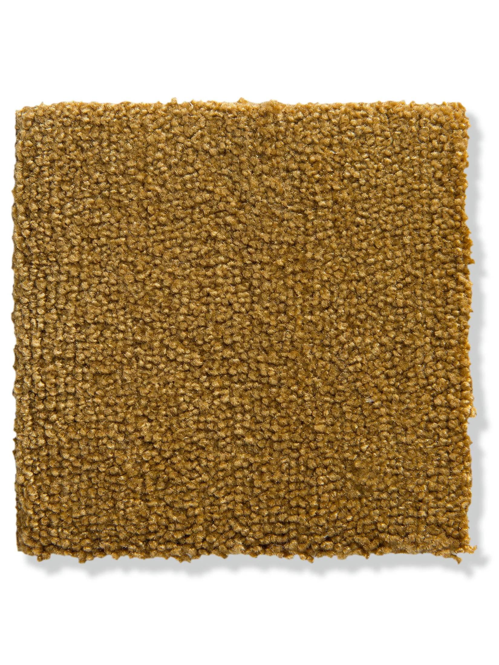 Emporia Velours-Teppichboden, Gold 50