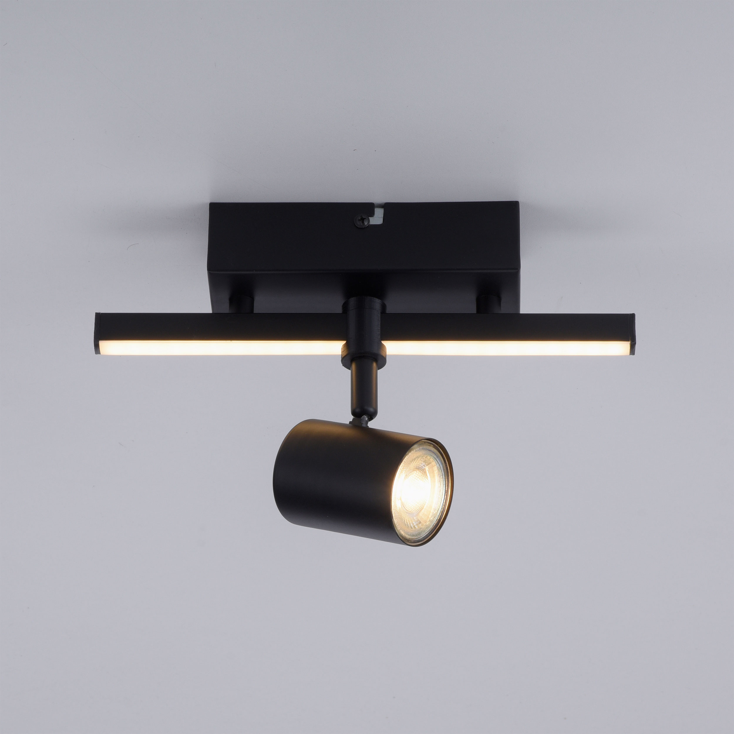 Paul NeuhausLED-Deckenleuchte 1flg