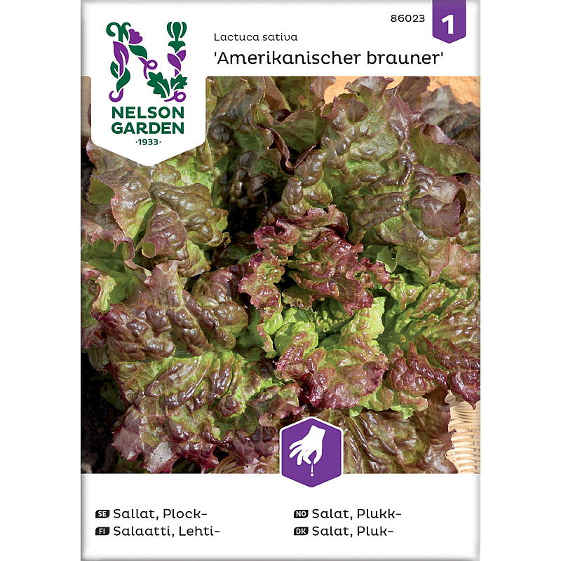 Nelson garden Frø Salat Plukk-, Amerikanischer brauner