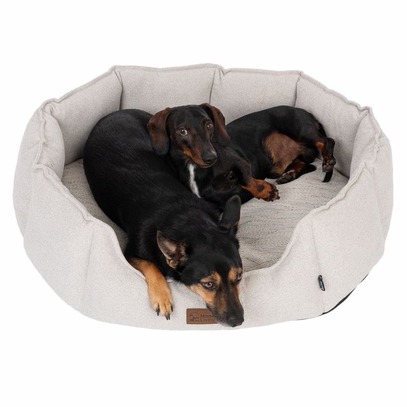 Modern Living Hundebett Phoenix zu TOP-Preisen
