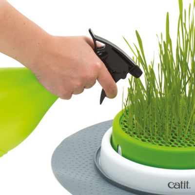 Catit Senses 2.0 Grastopf