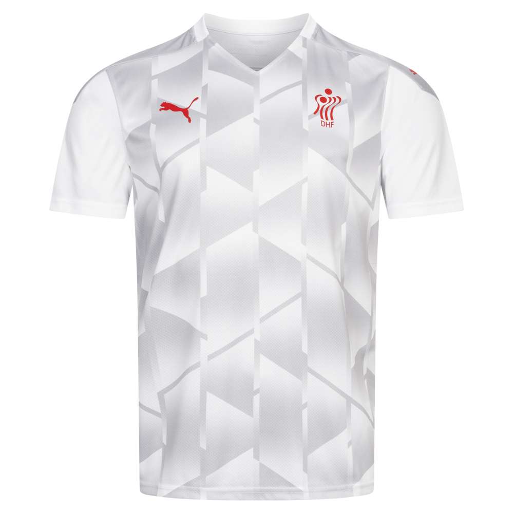 Dänemark DHF PUMA Handball Herren Trikot 757996-02