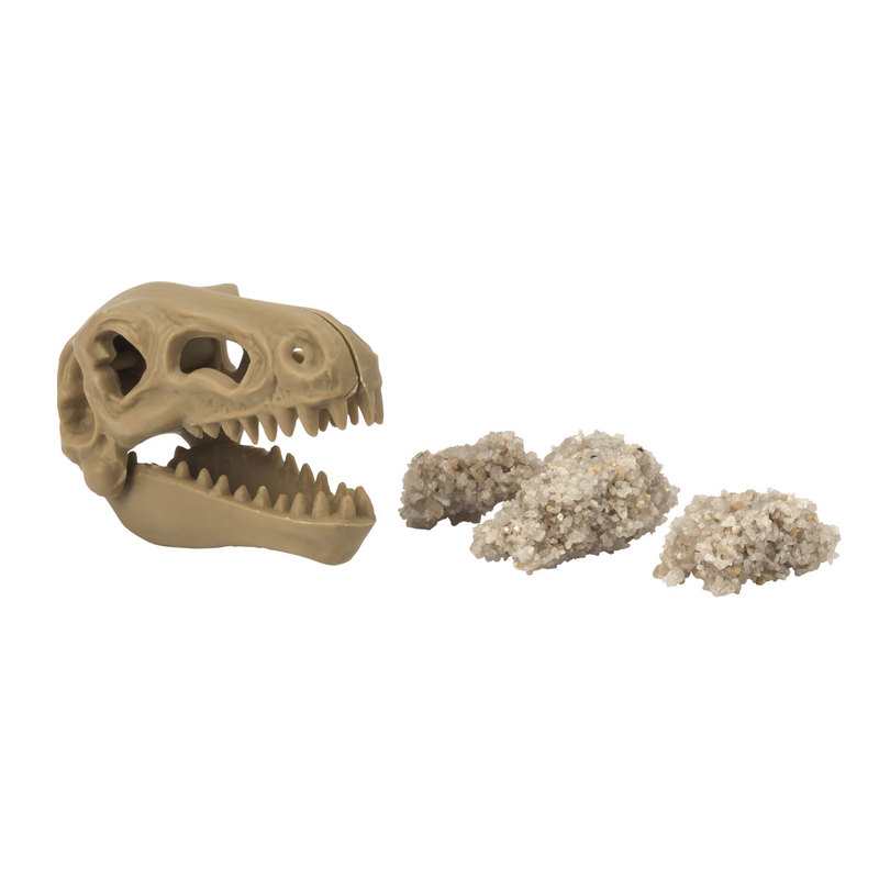 Coffret dinosaure T-rex à déterrer Oxybul