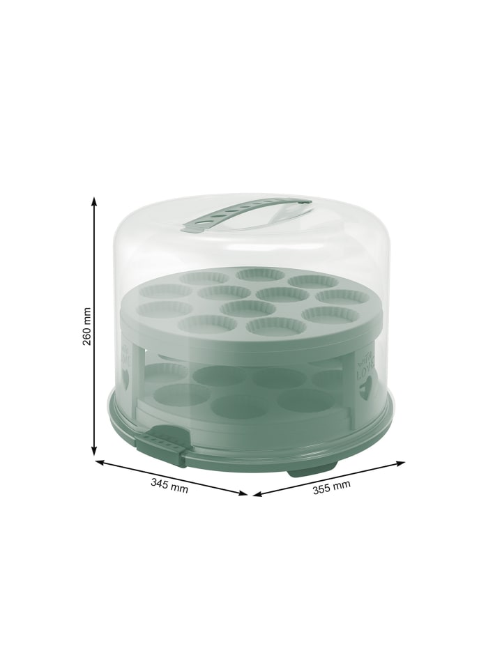 Rotho FRESH Tortenglocke hoch mit Trays in Transparent / Mistletoe grün günstig kaufen onesize