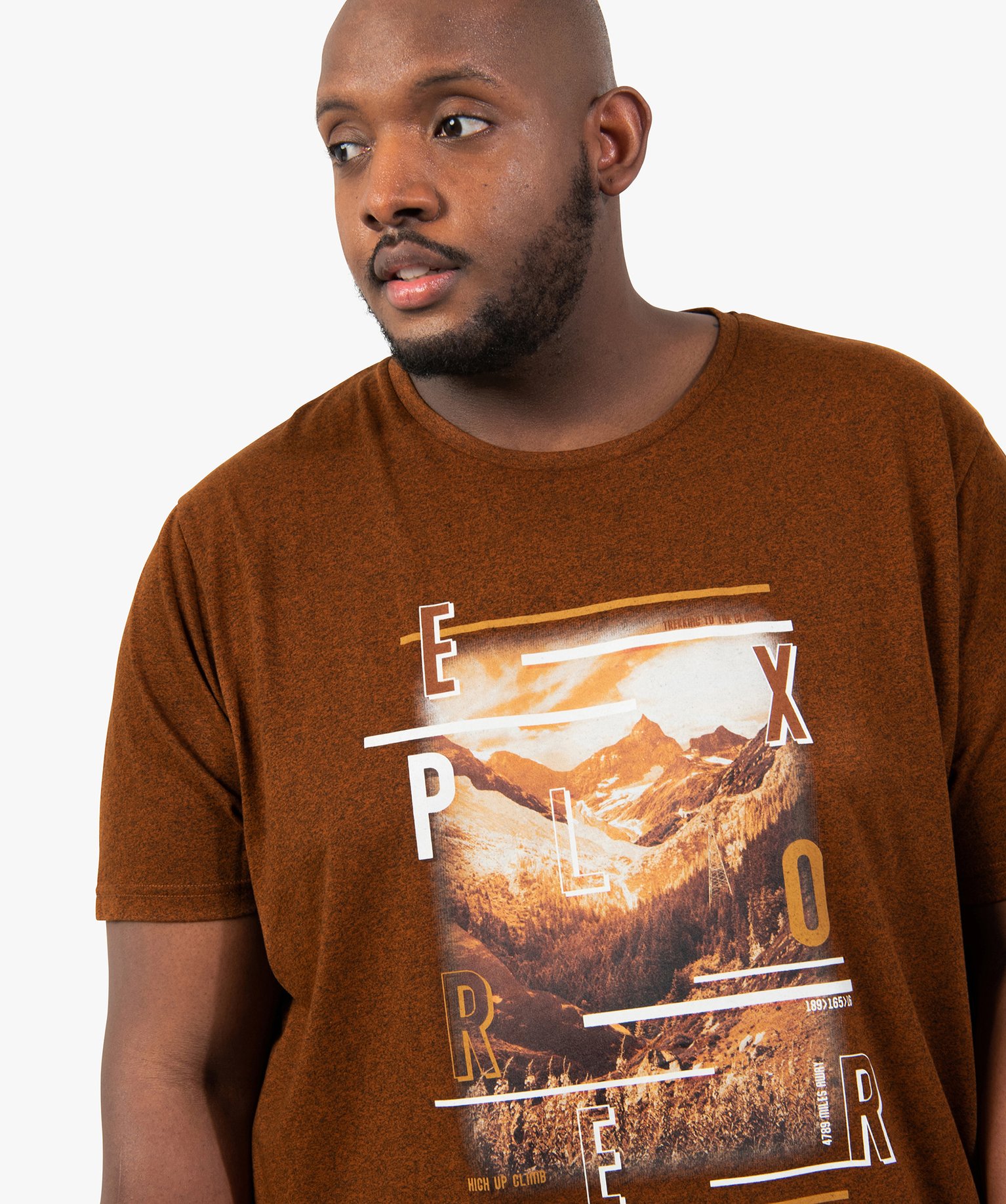 Tee-shirt homme grande taille avec motif montagne marron | GEMO