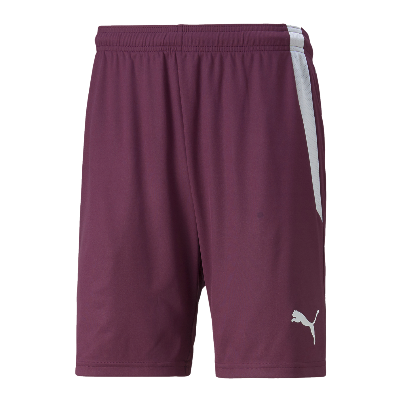 PUMA teamLIGA Short Lila F24