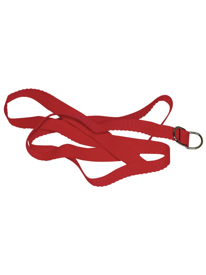 Bad Kitty Fessel-Set Red Giant in rot günstig kaufen 60