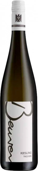2022 Riesling VDP.Gutswein trocken Bio - Weingut Beurer