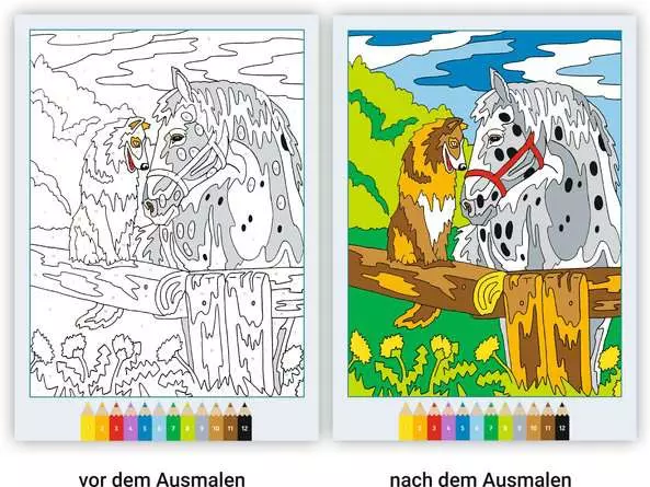 CreArt Malen nach Zahlen ab 7: Pferde