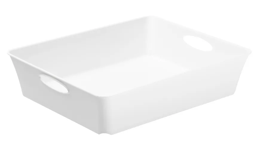 rotho Aufbewahrungsbox Livingbox 2,5l weiß