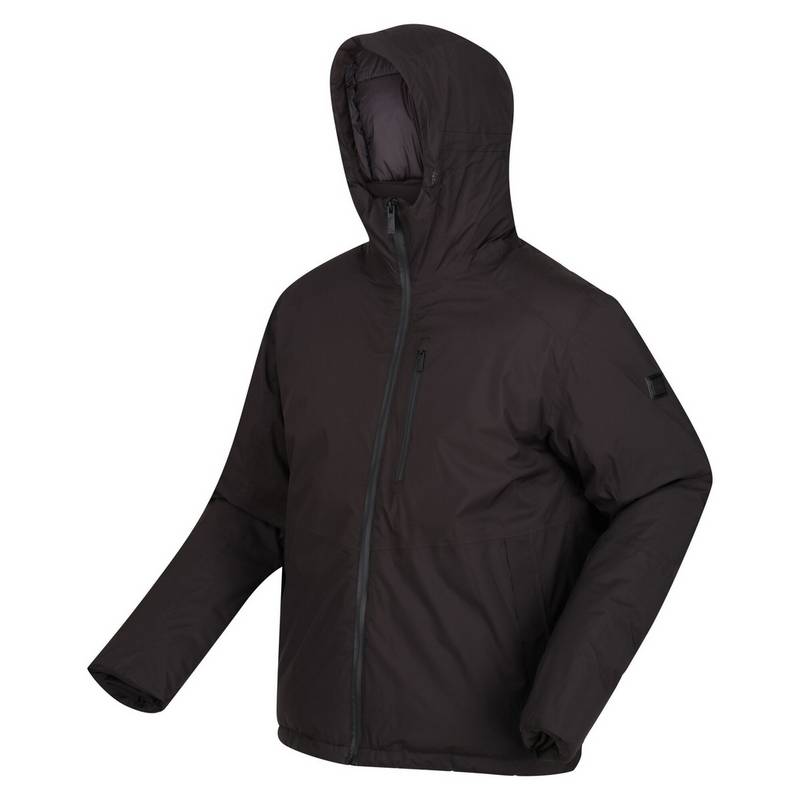 Regatta Colehurst Winterjacke Herren