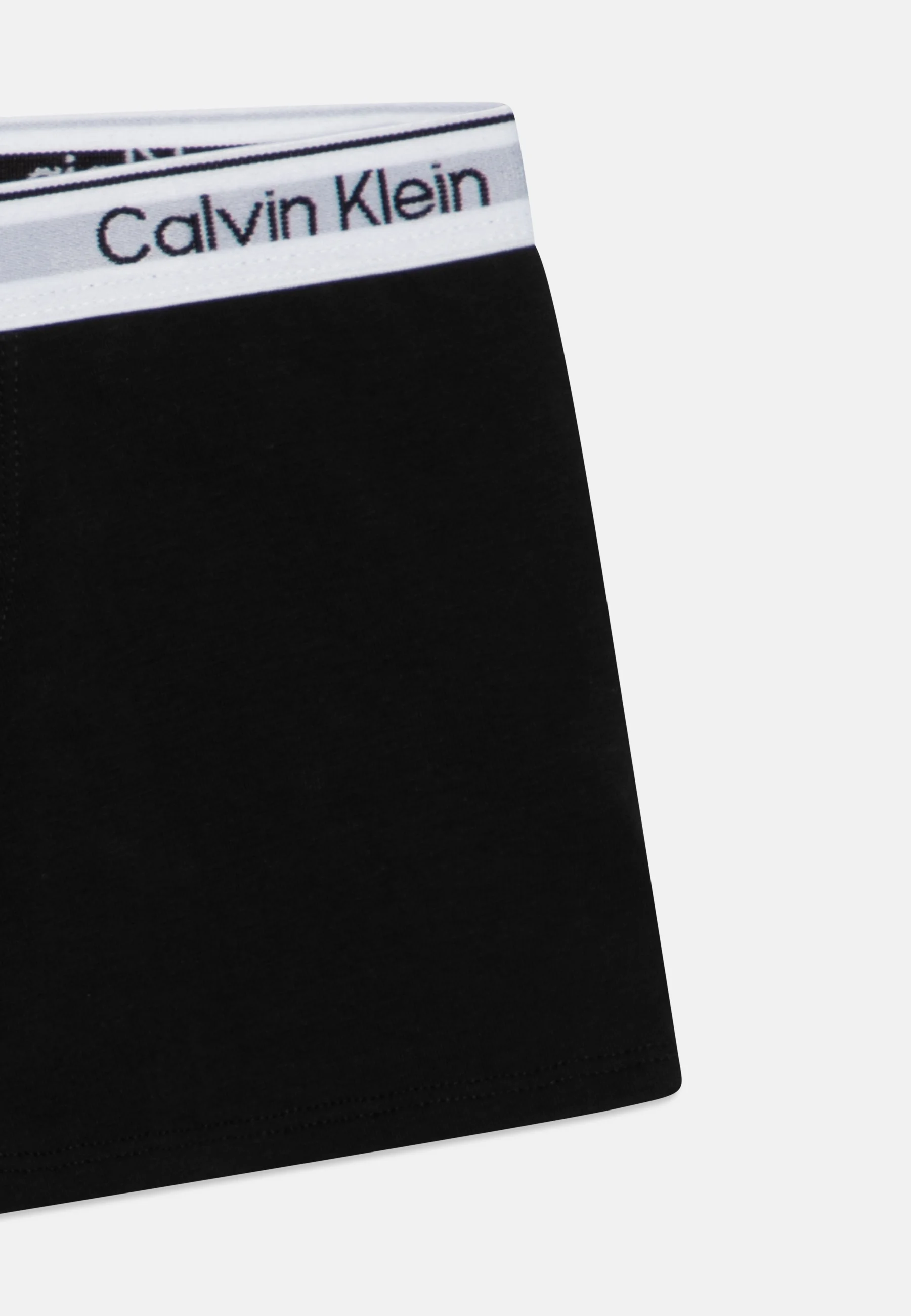 Calvin Klein Underwear TRUNK PACK DE 2 - Culotte