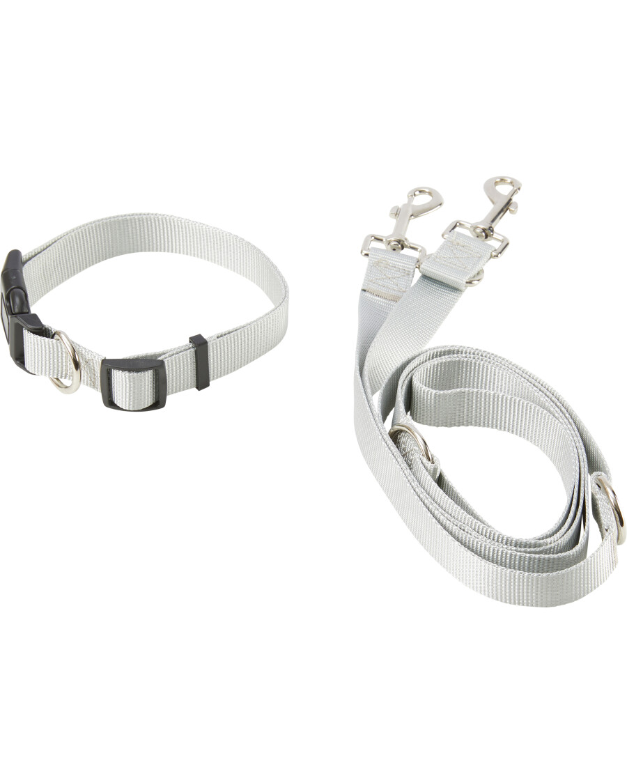 Hundeleine + Hundehalsband