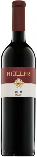 2019 Merlot trocken - Weingut Axel Müller