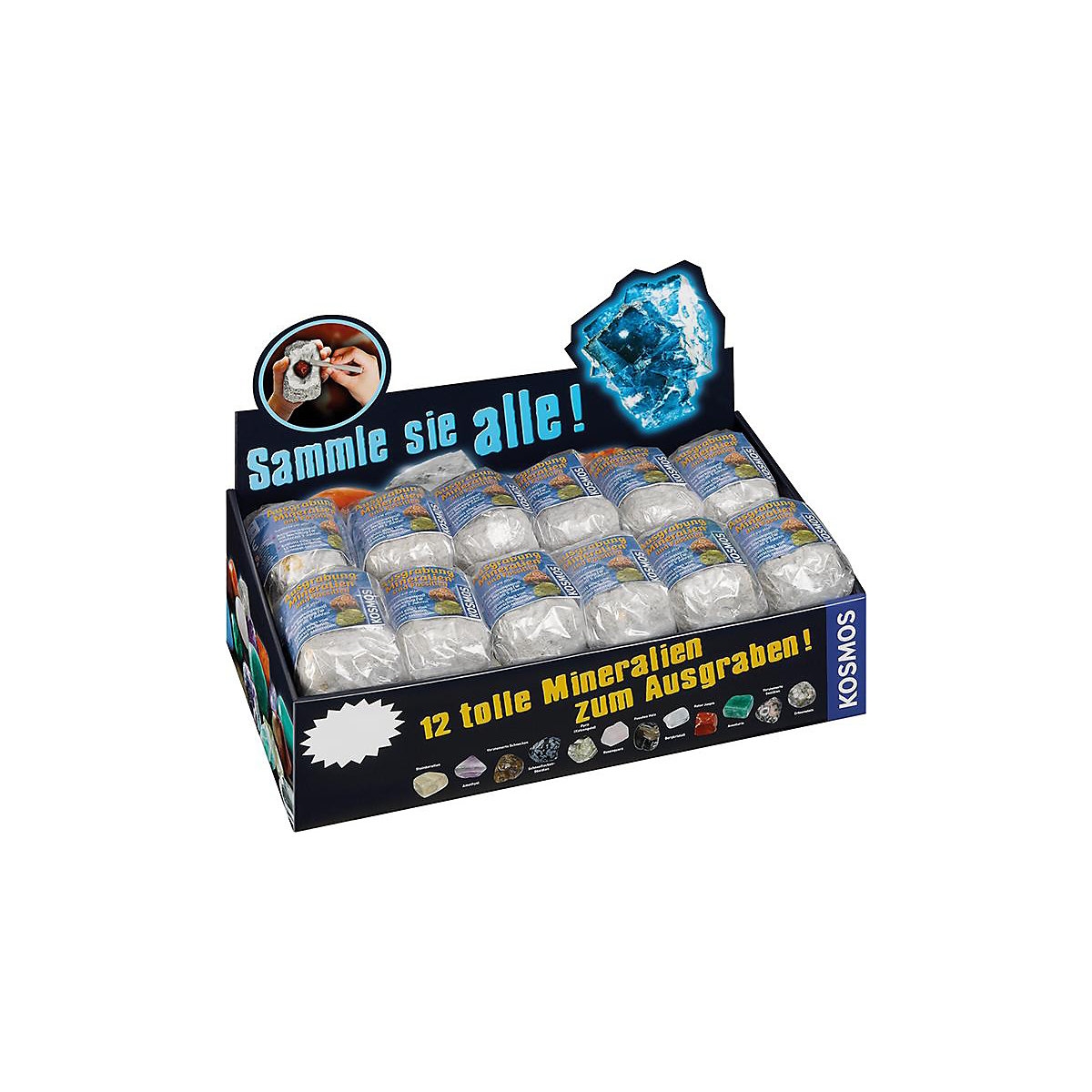 Mineralien & Fossilien