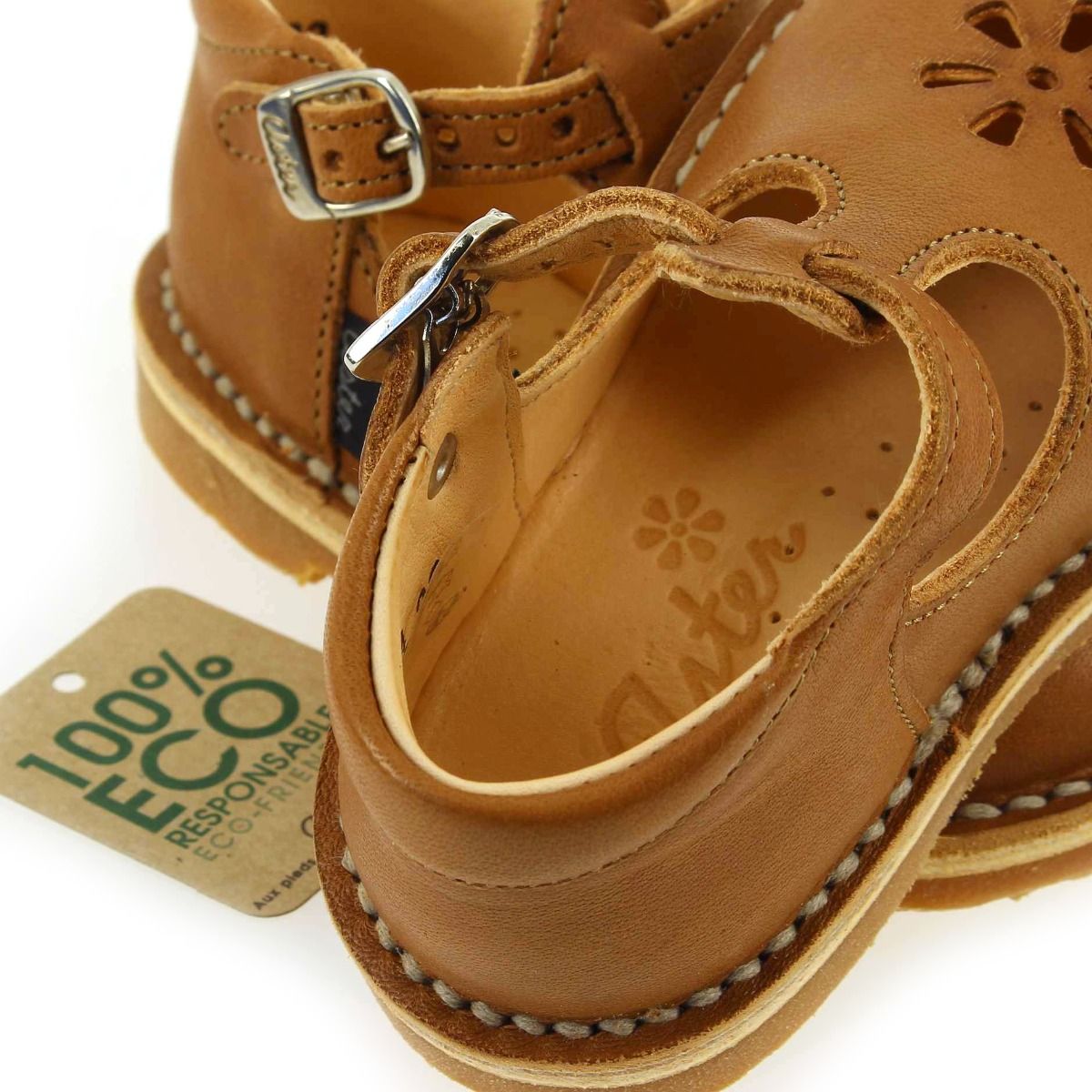 Aster  BIMBO 2 - Camel
