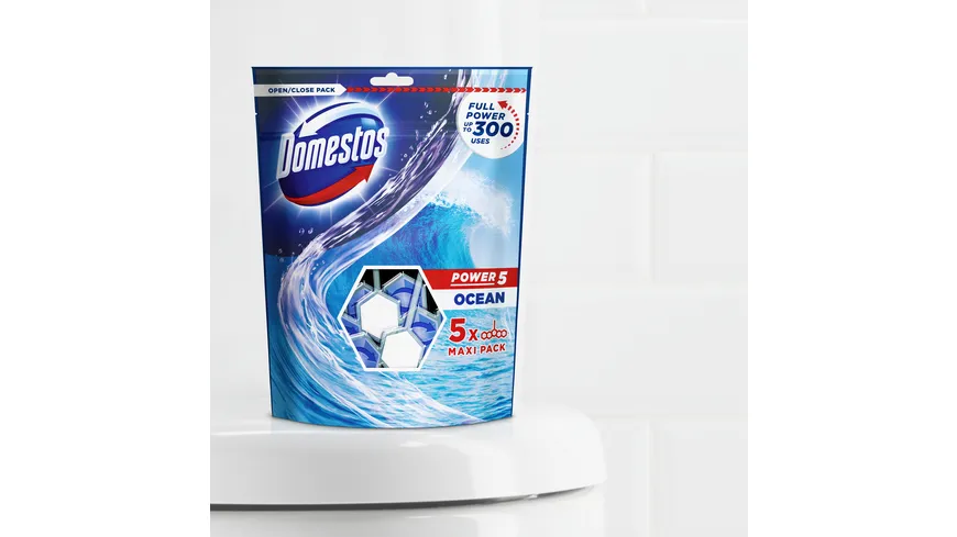 Domestos Power 5 WC-Stein Ocean 275 g