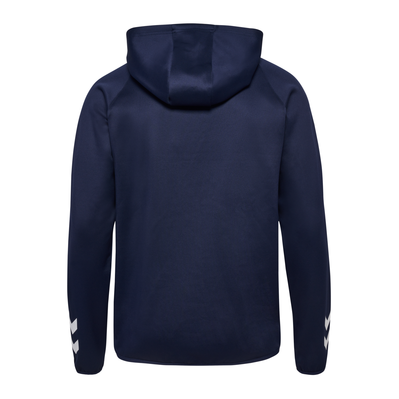 Hummel Dänemark Travel Hoody EM 2024 Blau F7026